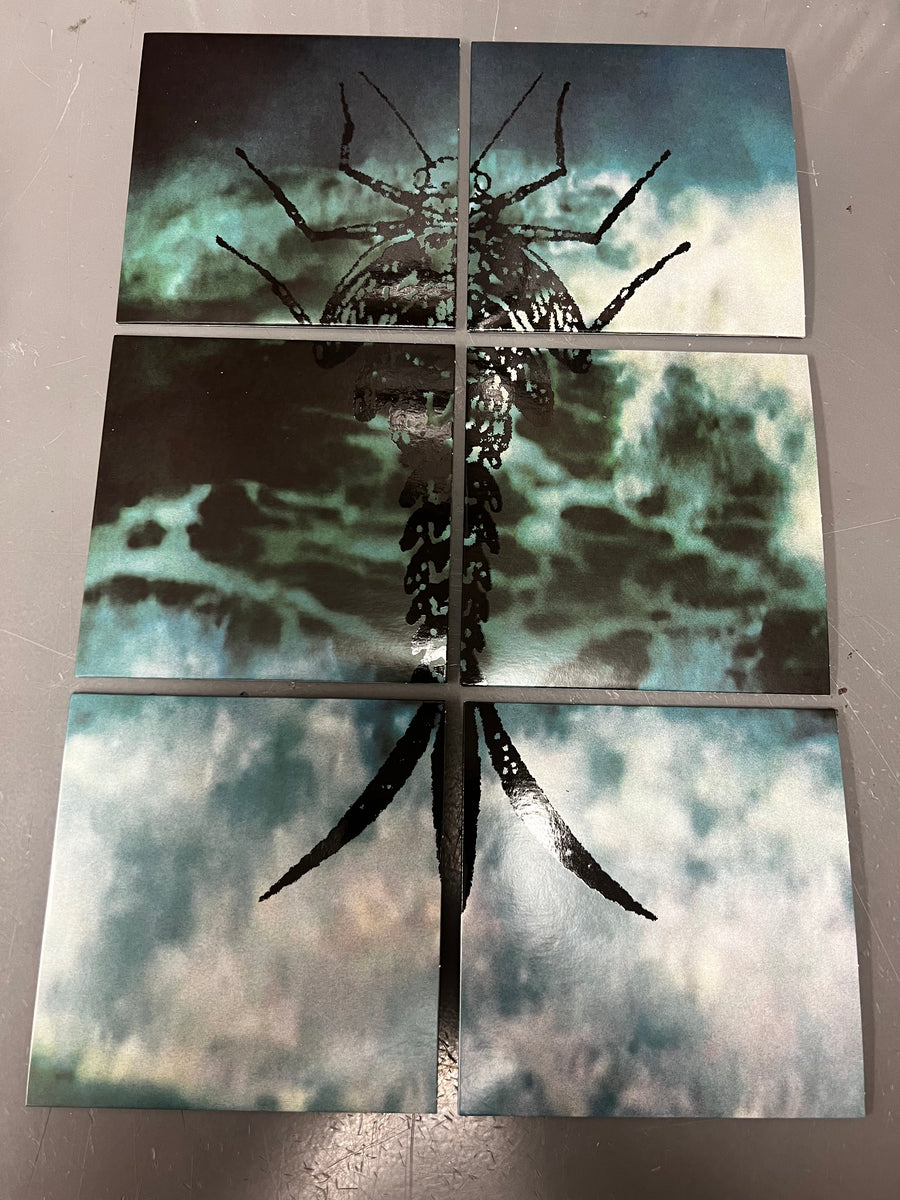 RAINFOREST SPIRITUAL ENSLAVEMENT | WATER WITCHES | 6XCD BOX 