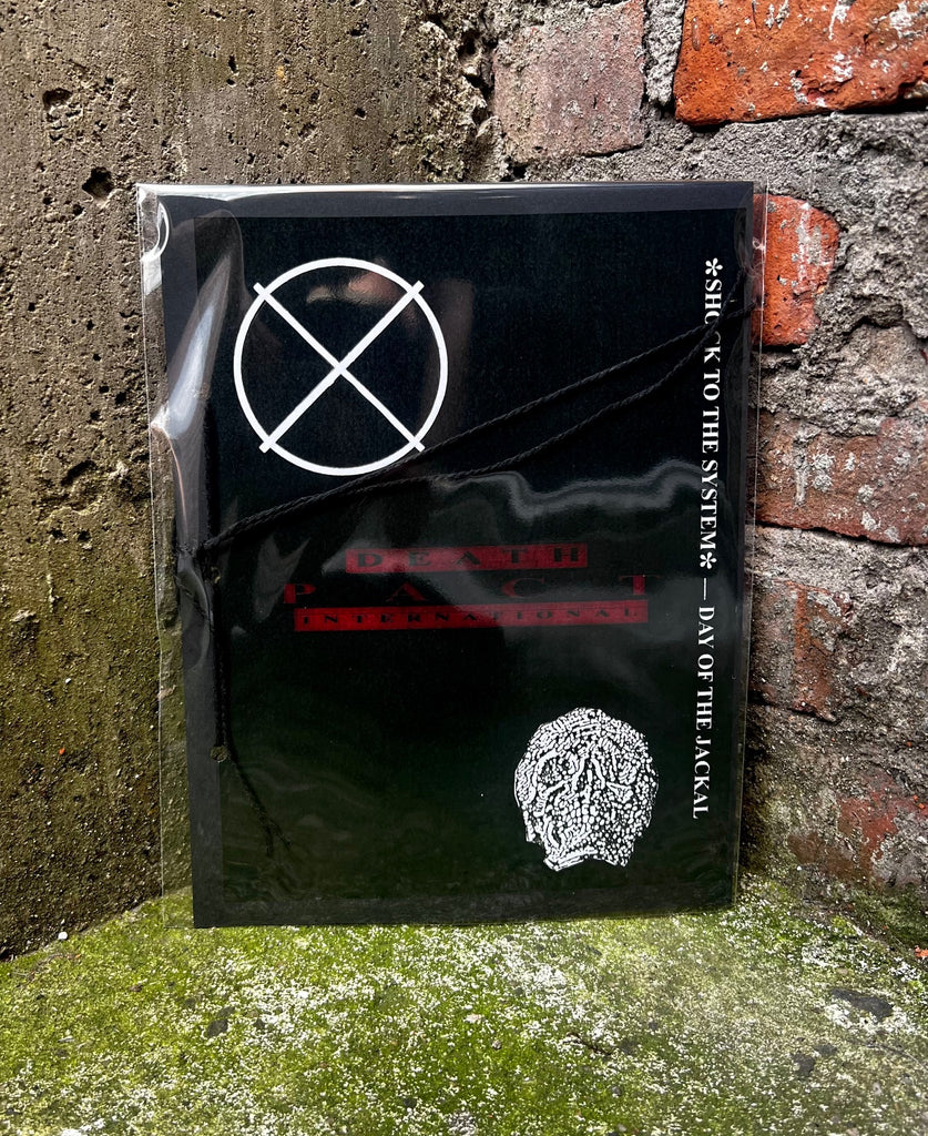 D.P.I. | SHOCK TO THE SYSTEM - DAY OF THE JACKAL | SPECIAL EDITION CD-R PRE ORDER