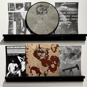 THE GREY WOLVES / VATICAN SHADOW | SICKNESS IN THE RIGHT - GULF WAR SYNDROME PICTURE DISC VINYL LP